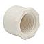 TAPON PVC ROSCADO 1/2